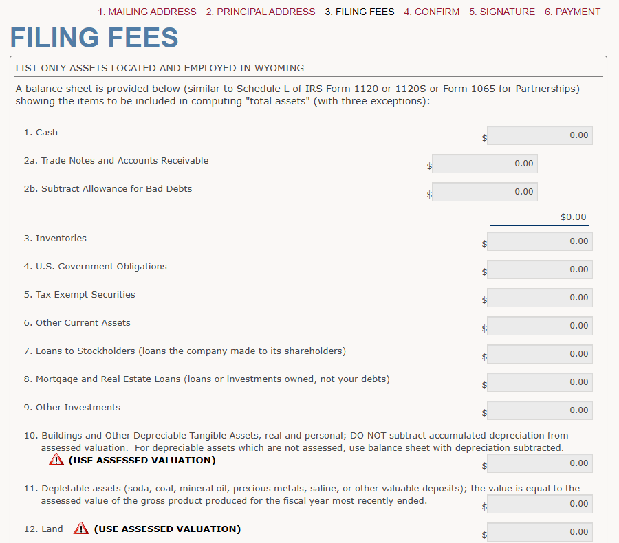 Fill in the balance sheet information